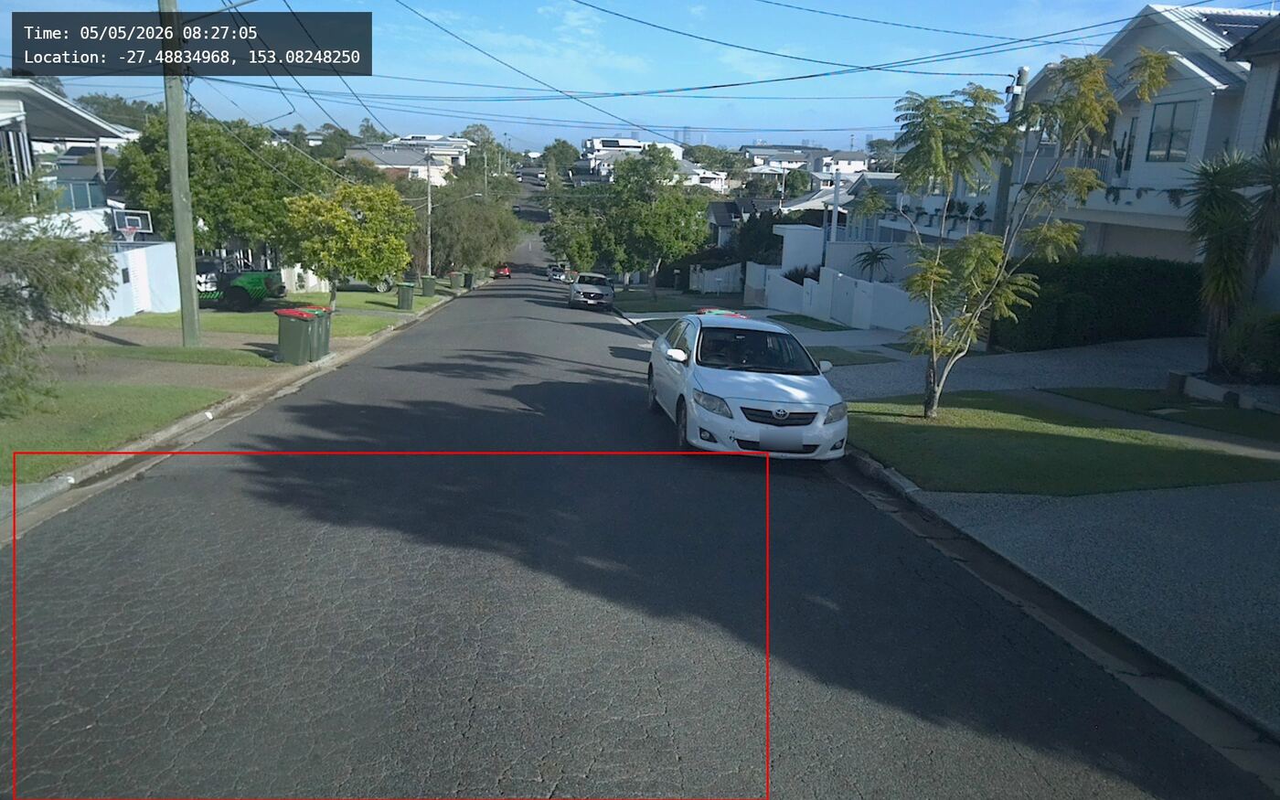 AI detection example: Crocodile cracking